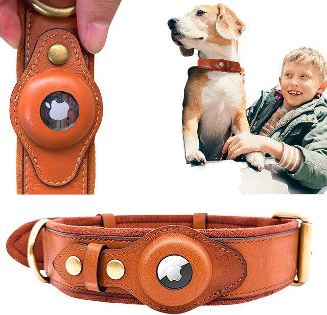 Airtag Holder Case Pet Dog Collar
